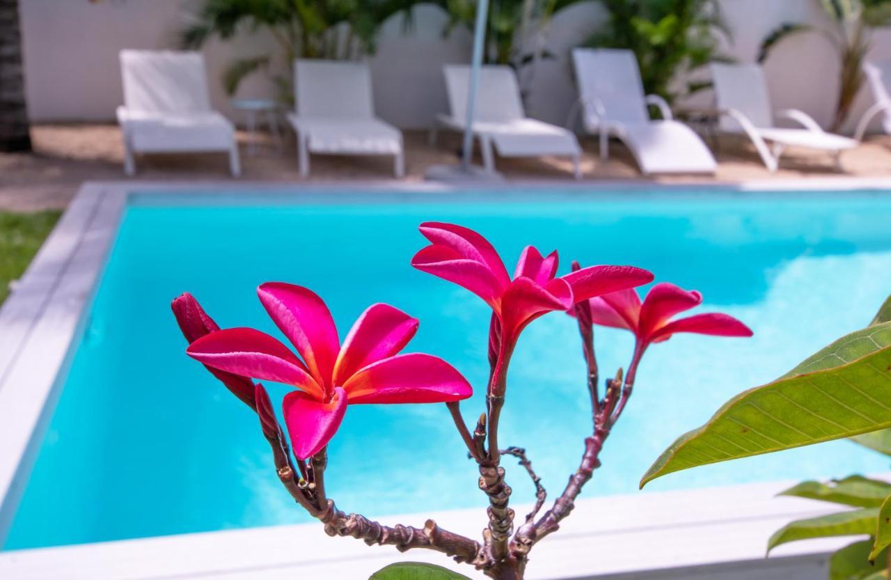 Le Mandala Moris Guesthouse Pointe Aux Canonniers Grand Bay Ngoại thất bức ảnh
