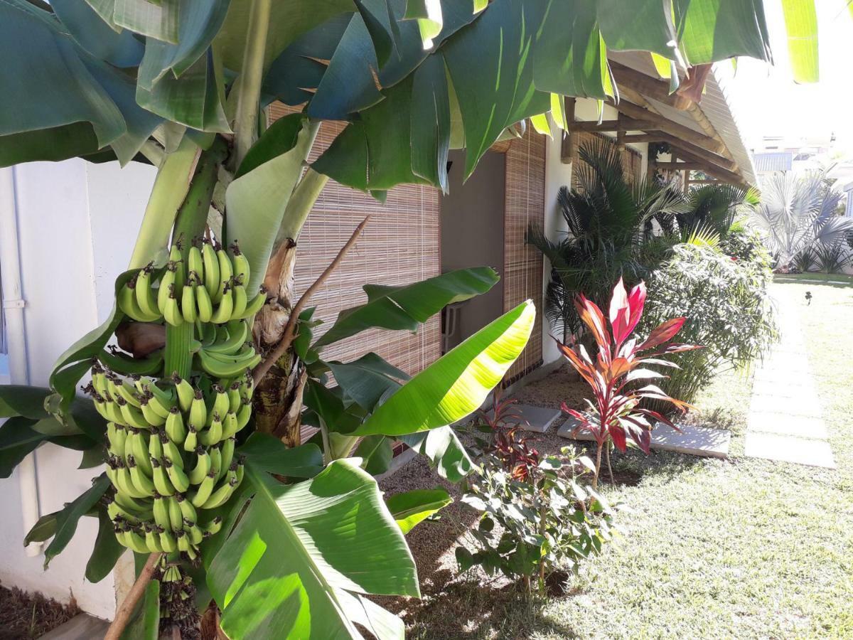 Le Mandala Moris Guesthouse Pointe Aux Canonniers Grand Bay Ngoại thất bức ảnh